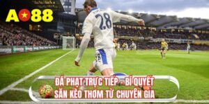 da-phat-truc-tiep