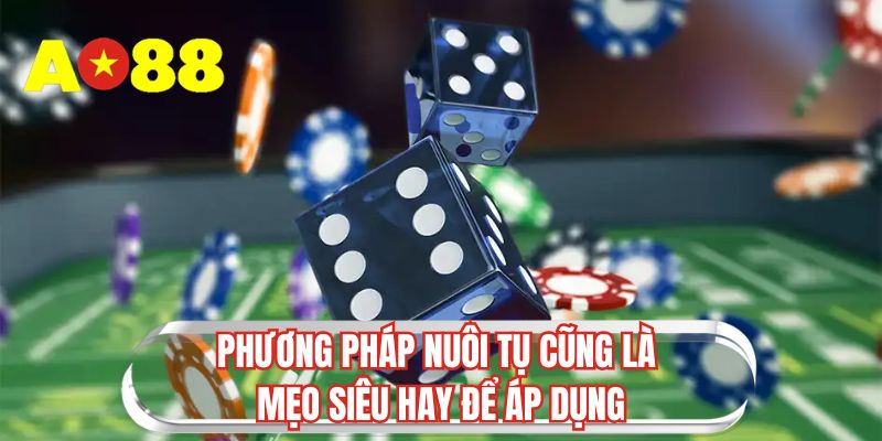 Phương pháp nuôi tụ cũng là mẹo siêu hay để áp dụng 